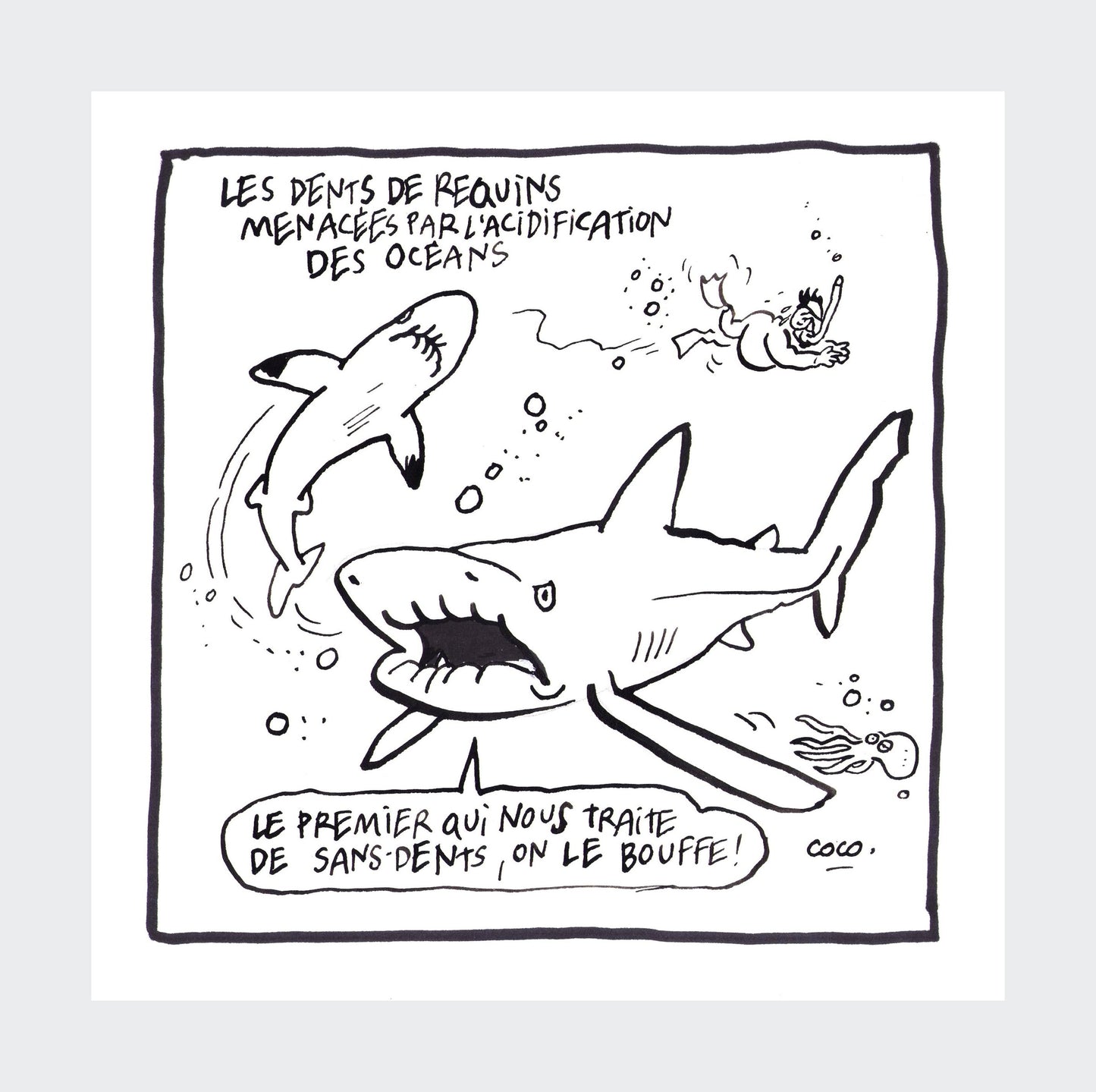 sans dents - artwork