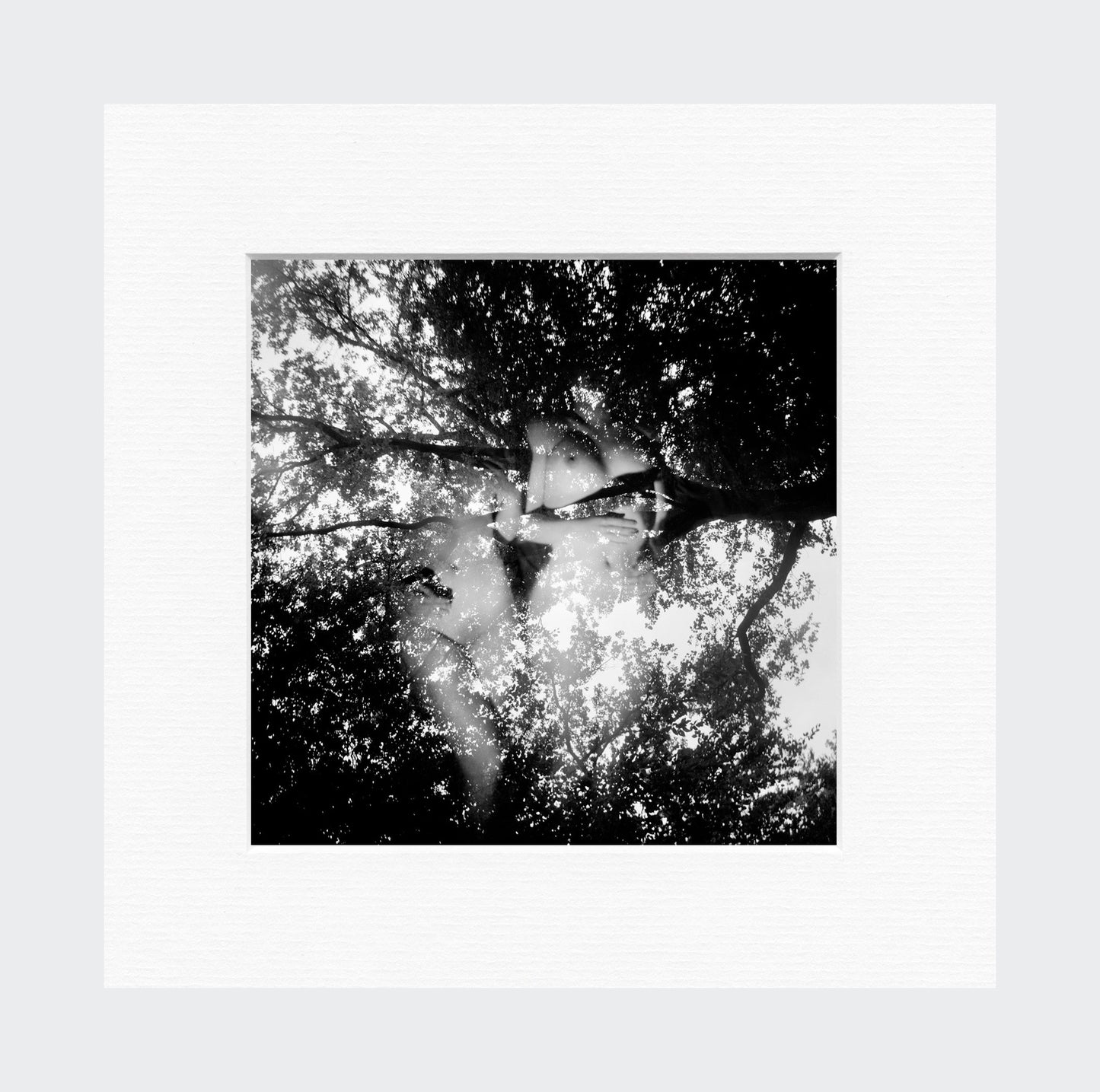 rituels mémoriels #19