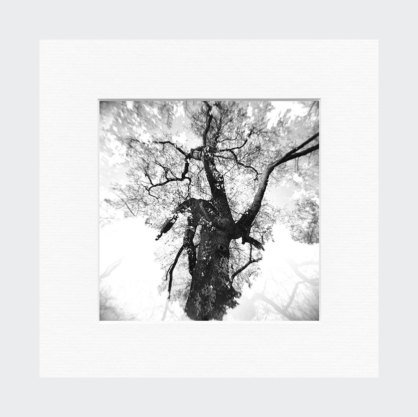 rituels mémoriels #20