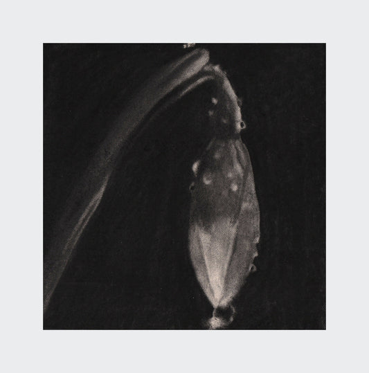 flowers #1 - artwork