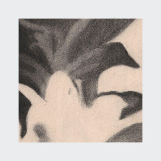 flowers #2 - artwork