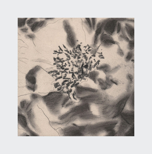 flowers #6 - artwork