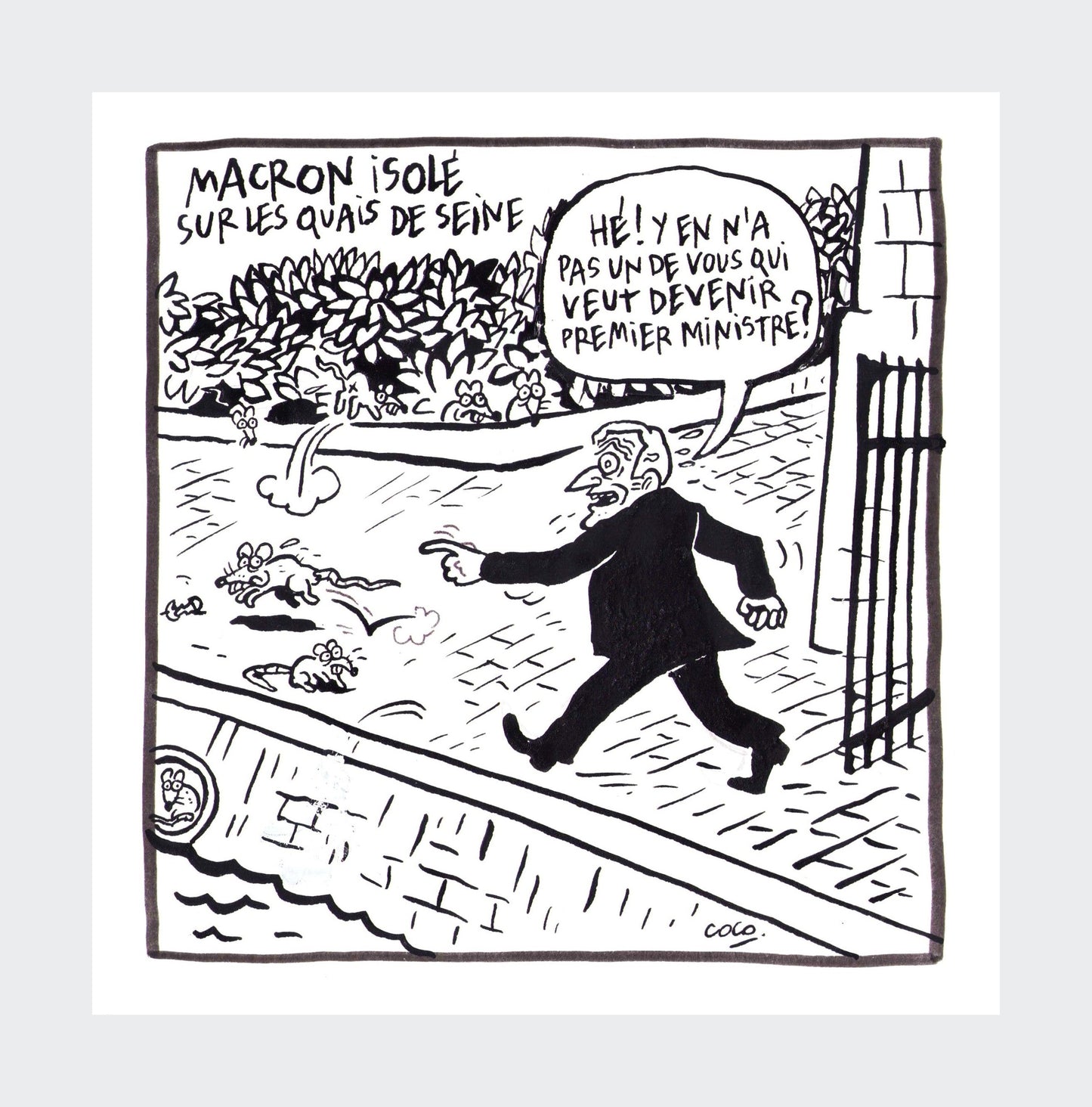 macron isolé - artwork