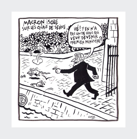 macron isolé - artwork