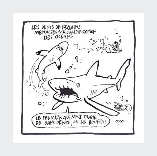 sans dents - artwork