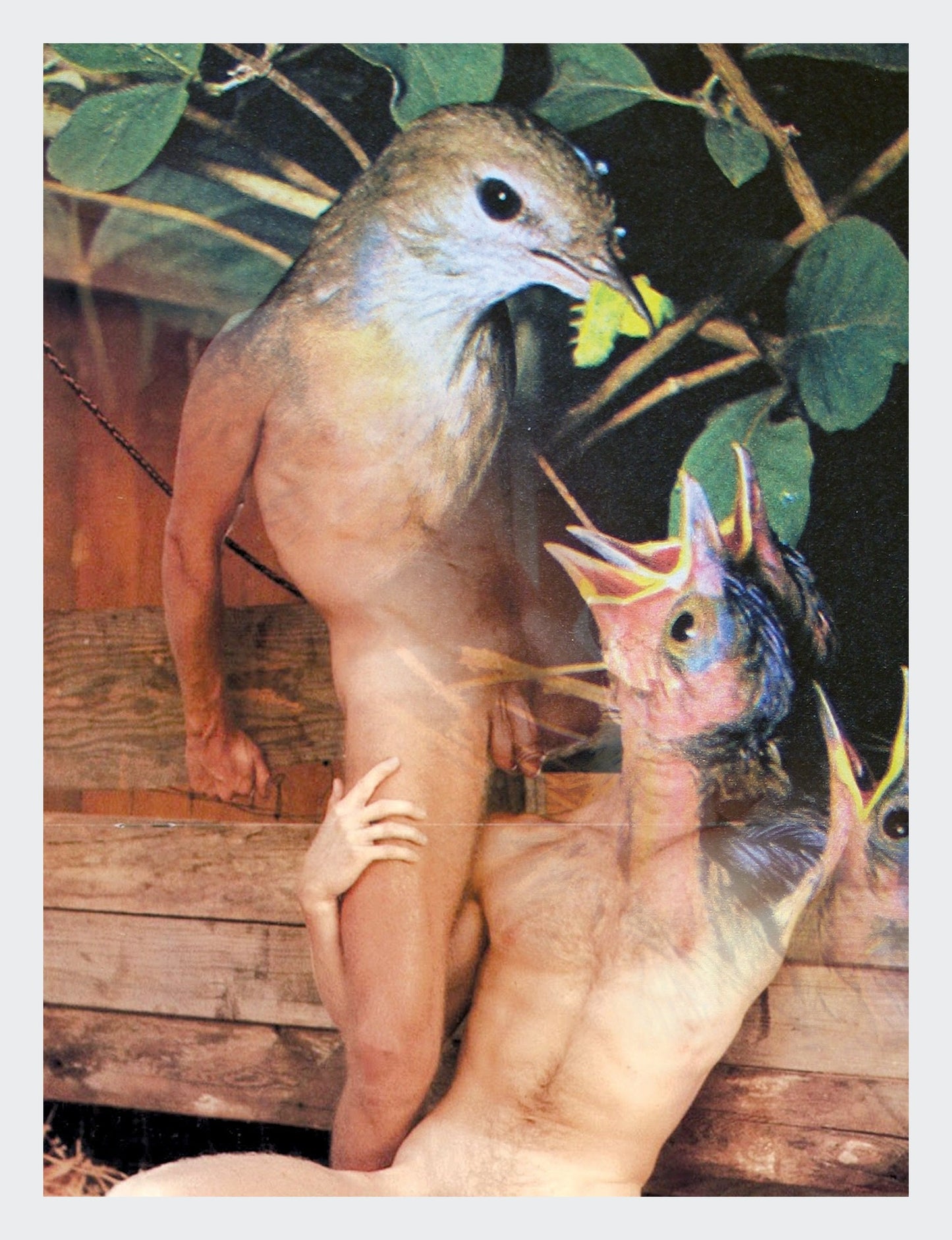 jérôme & fabien - artprint