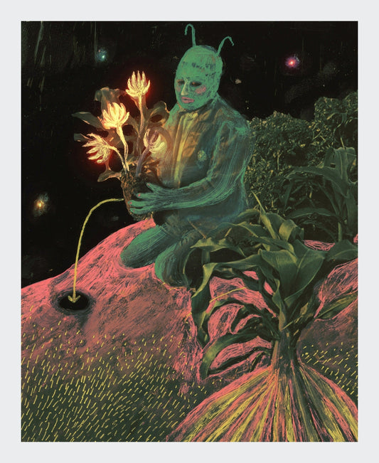 seeds - artprint