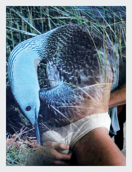 alexandre - artprint