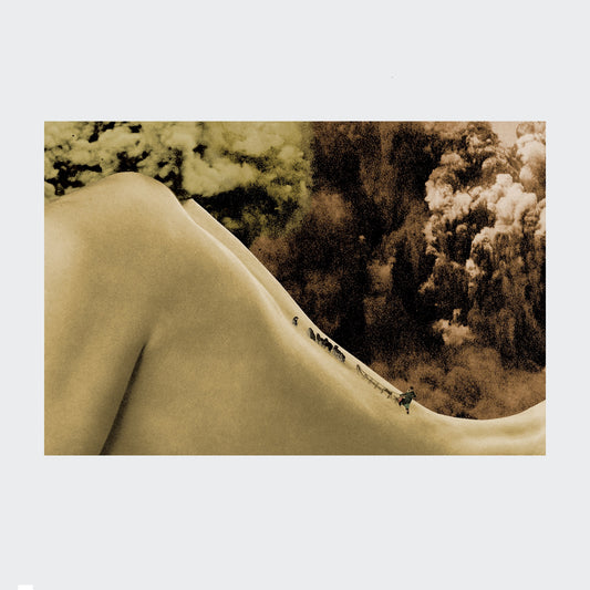 feu Vlll - artprint