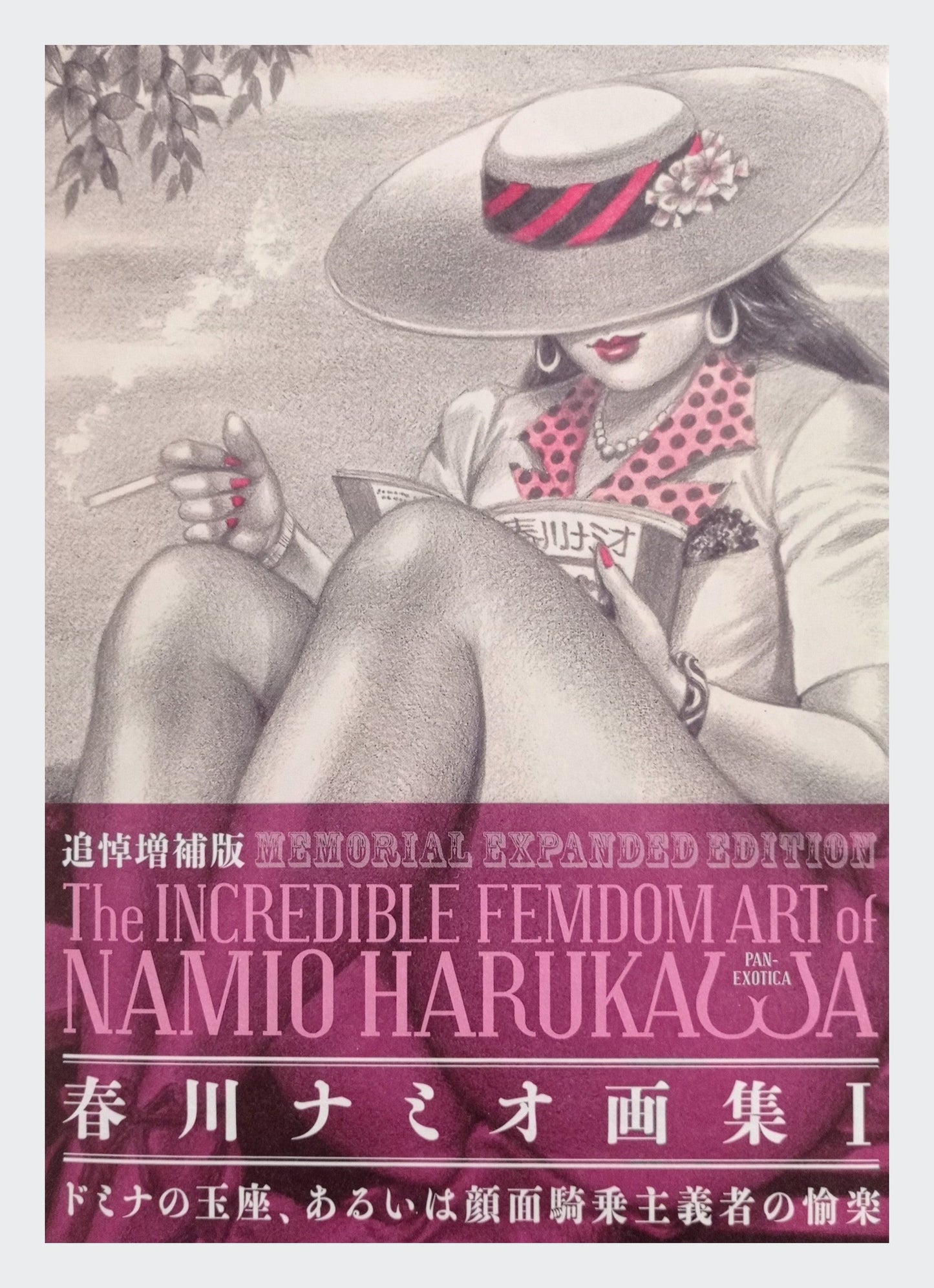 femdom art - artbook