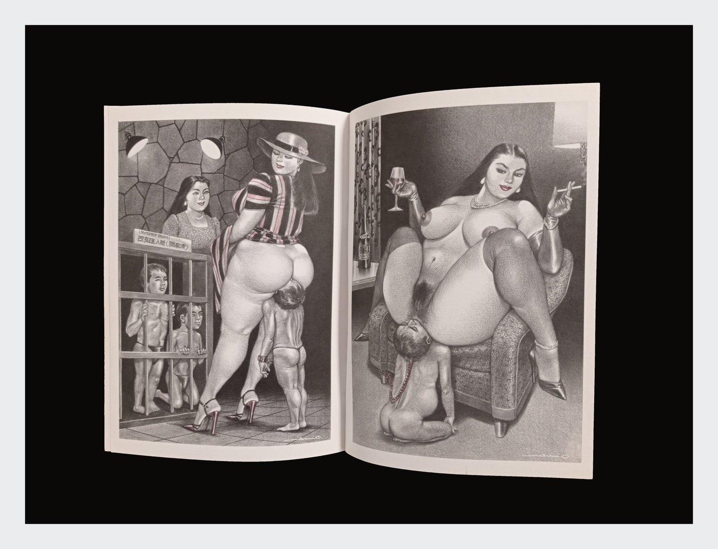 femdom art - artbook