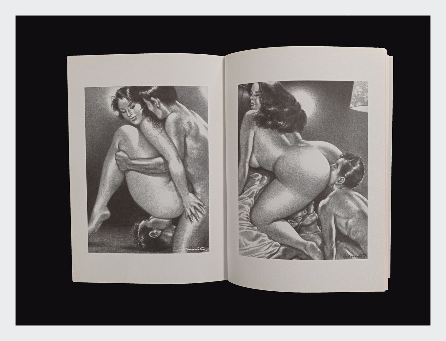 femdom art - artbook