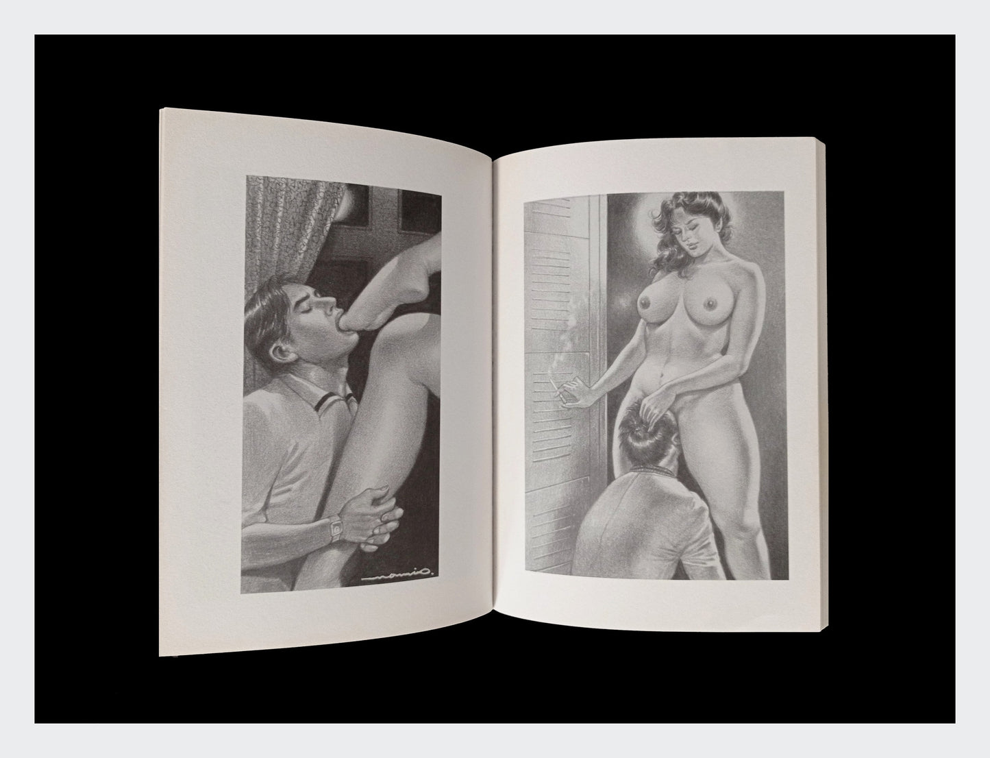 facesittings - artbook